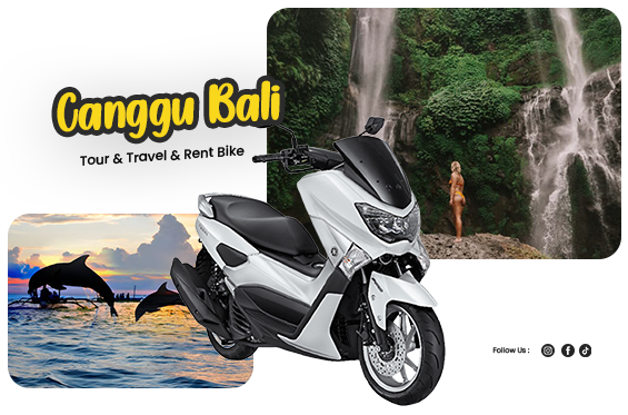 profil-balitourmotor